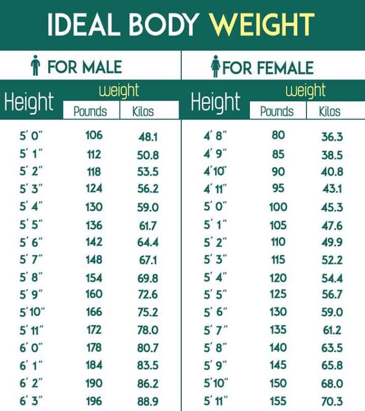 5 6 In Cm Ideal Weight 5 6 In Cm Ideal Weight